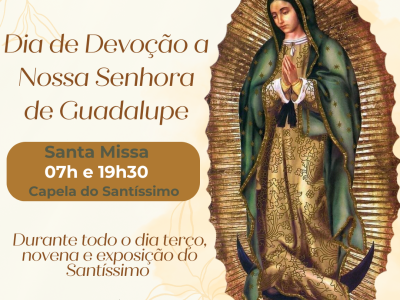 Post instagram dia de Nossa Senhora de Guadalupe delicado amarelo e marrom